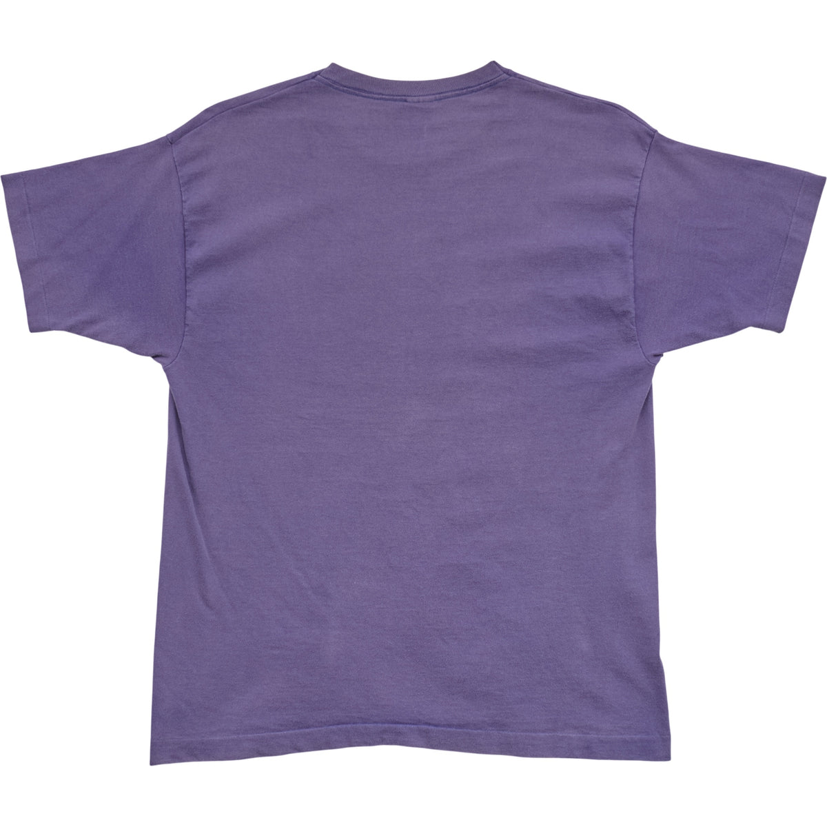 Springy x ACL Fest Purple Skyline Tee - M