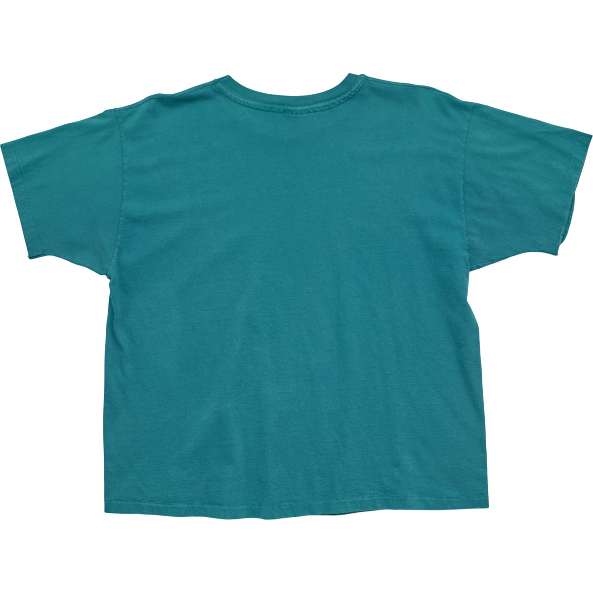 Springy x ACL Fest Teal Skyline Tee - L