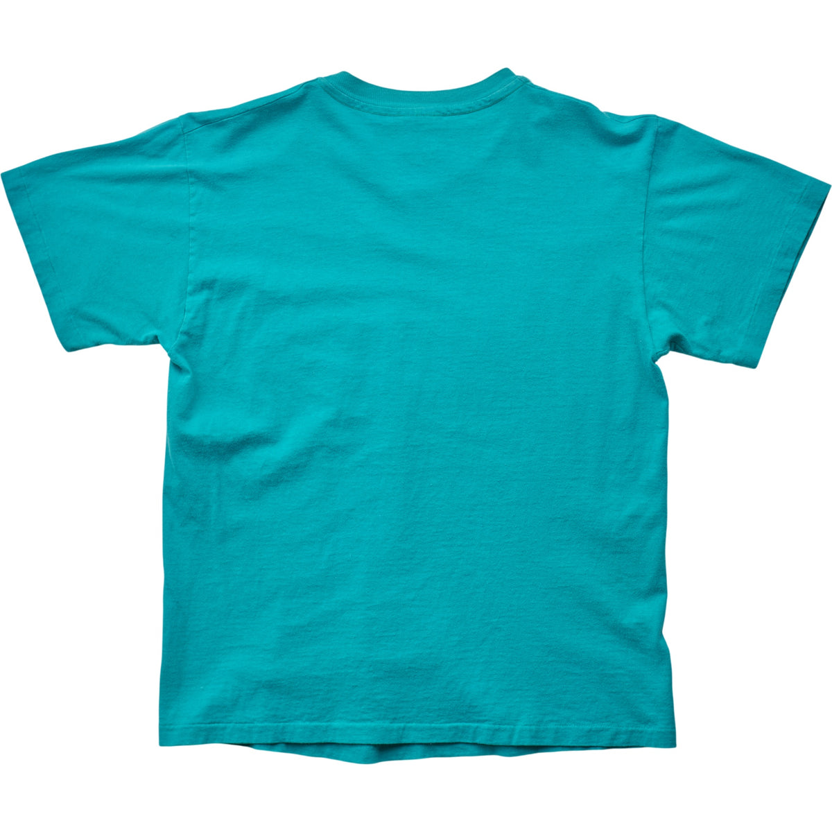 Springy x ACL Fest Teal Skyline Tee - S