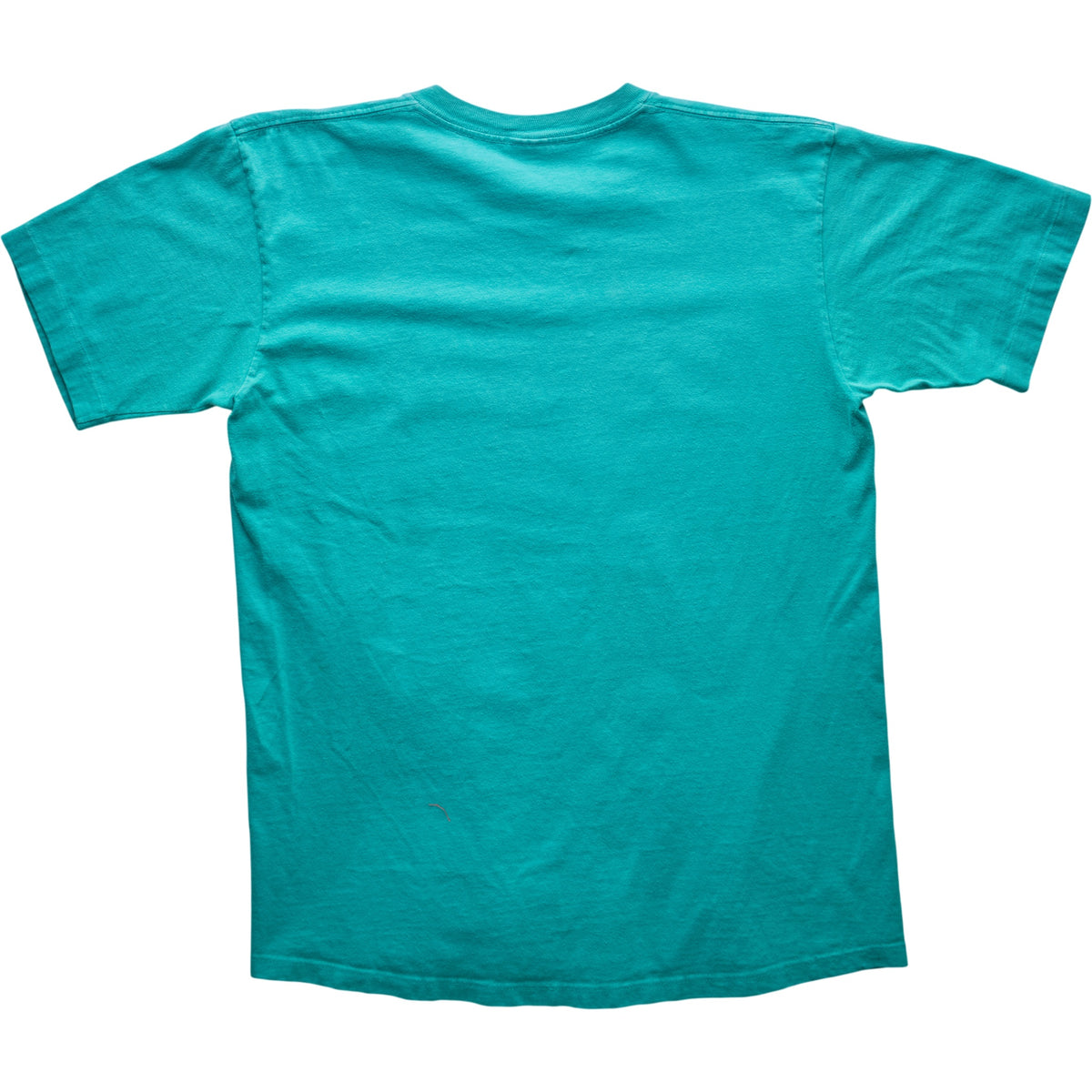 Springy x ACL Fest Teal Skyline Tee - M