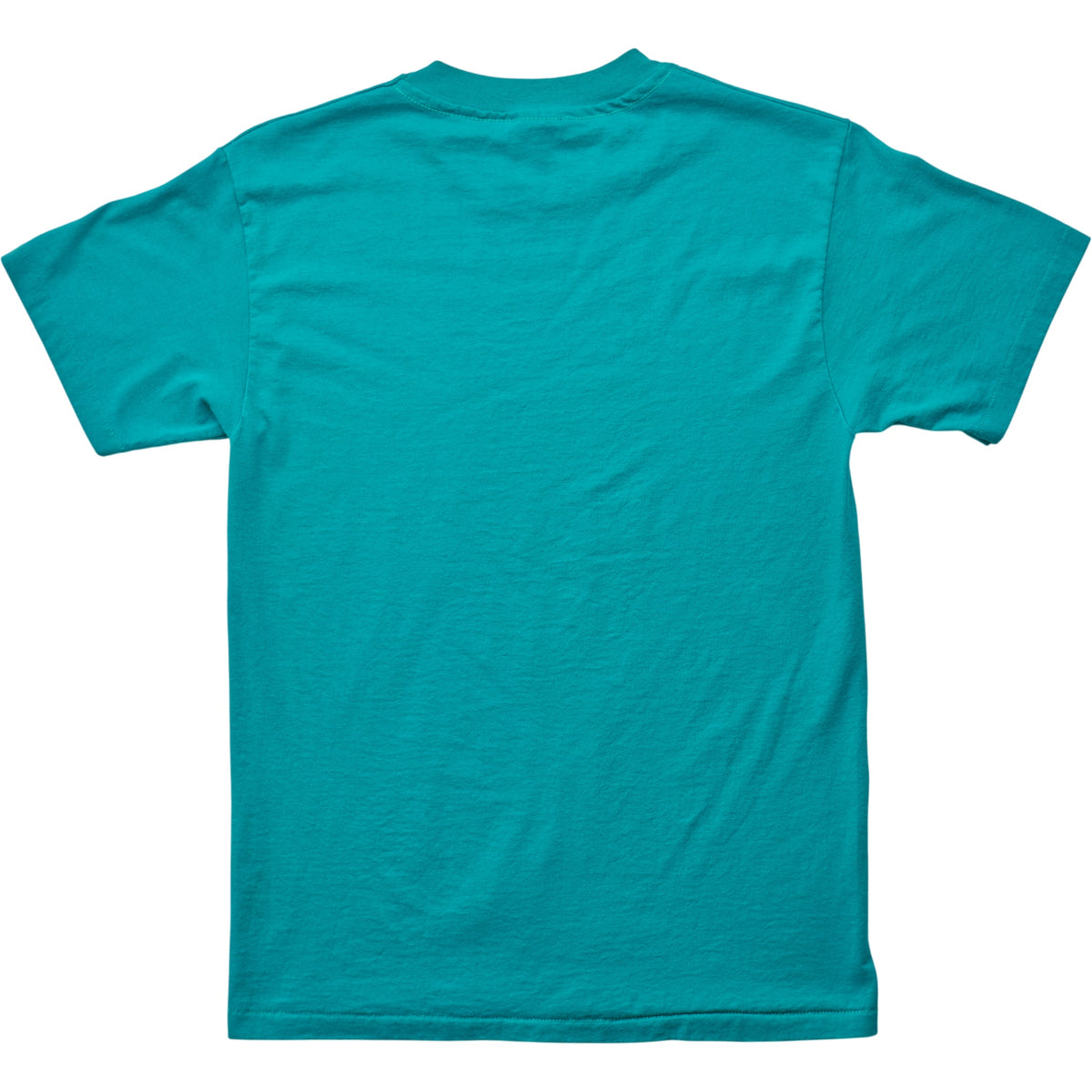 Springy x ACL Fest Teal Skyline Tee - S