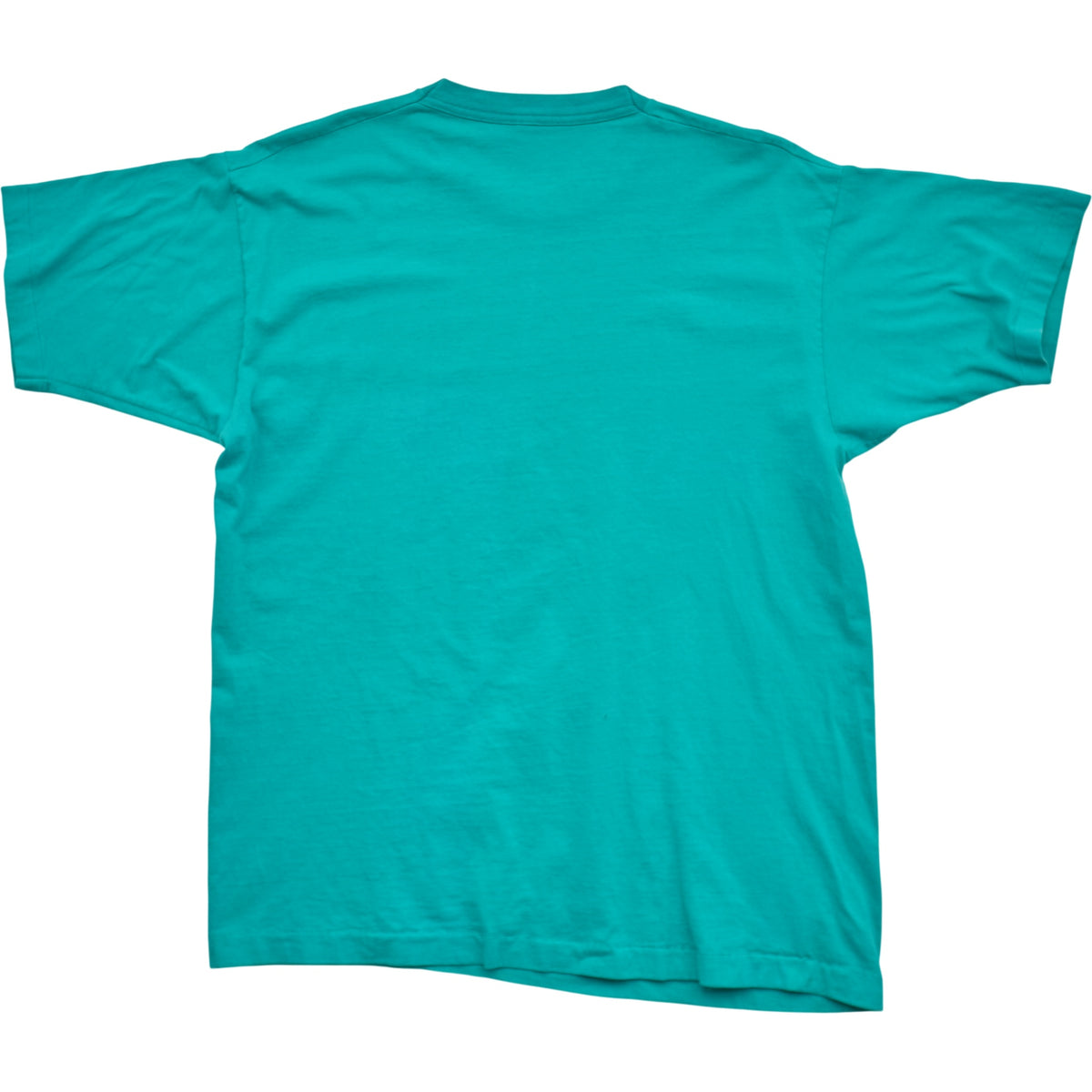Springy x ACL Fest Teal Skyline Tee - XL