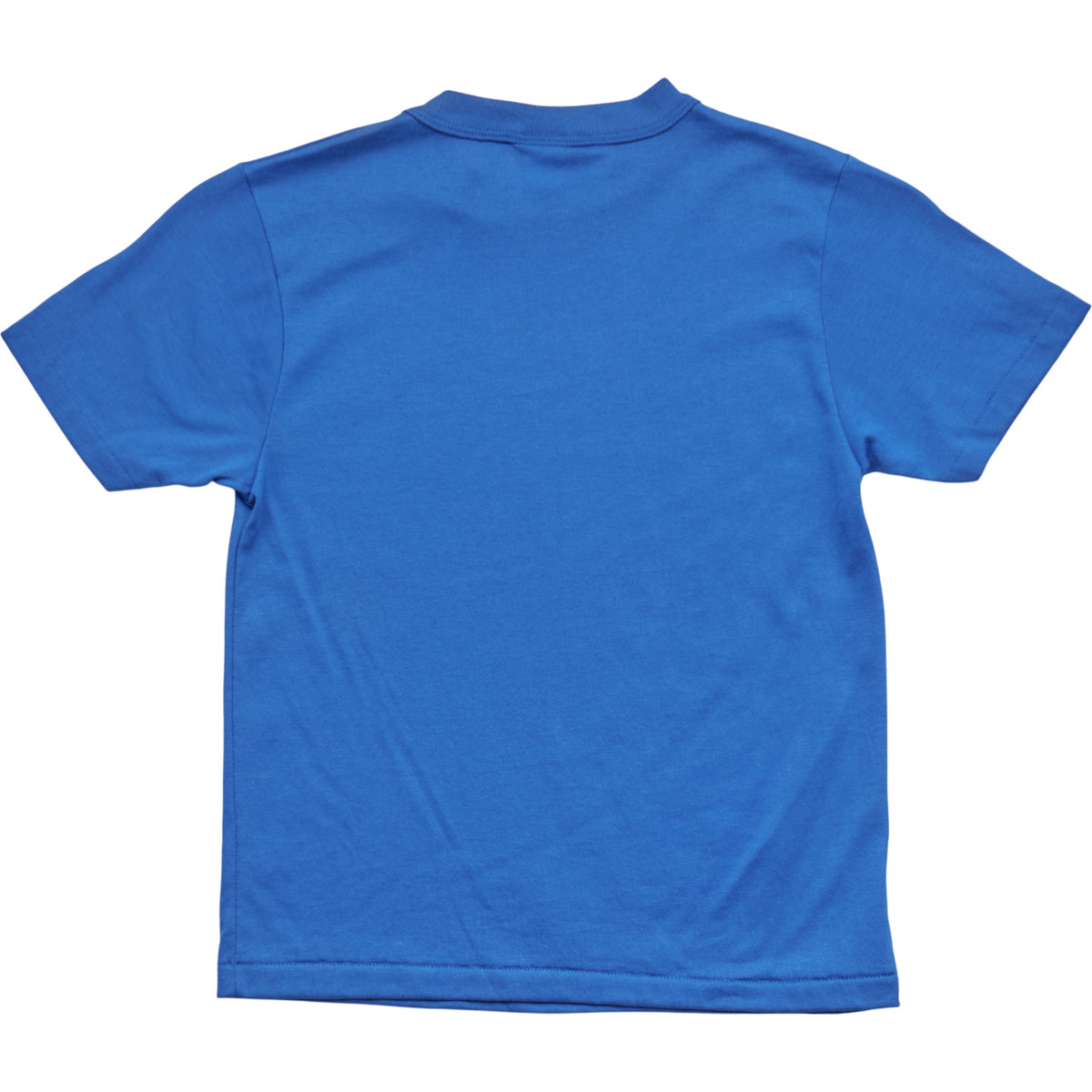 Springy x ACL Fest Blue Skyline Tee - XXS
