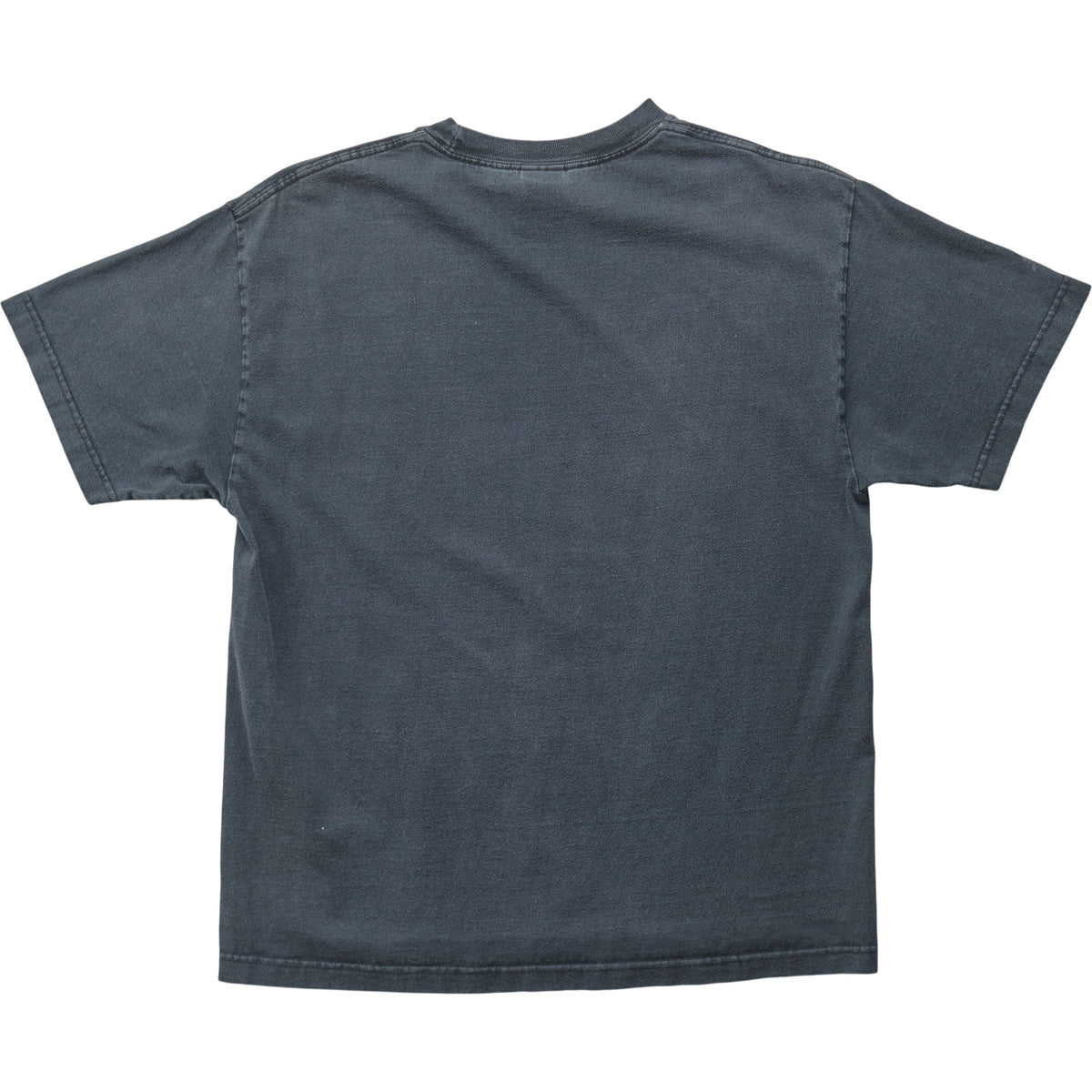 Springy x ACL Fest Gray Skyline Tee - XL