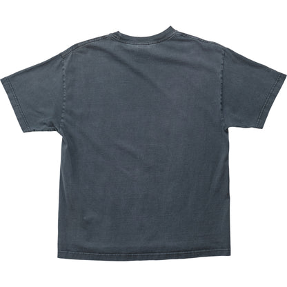 Springy x ACL Fest Gray Skyline Tee - XL
