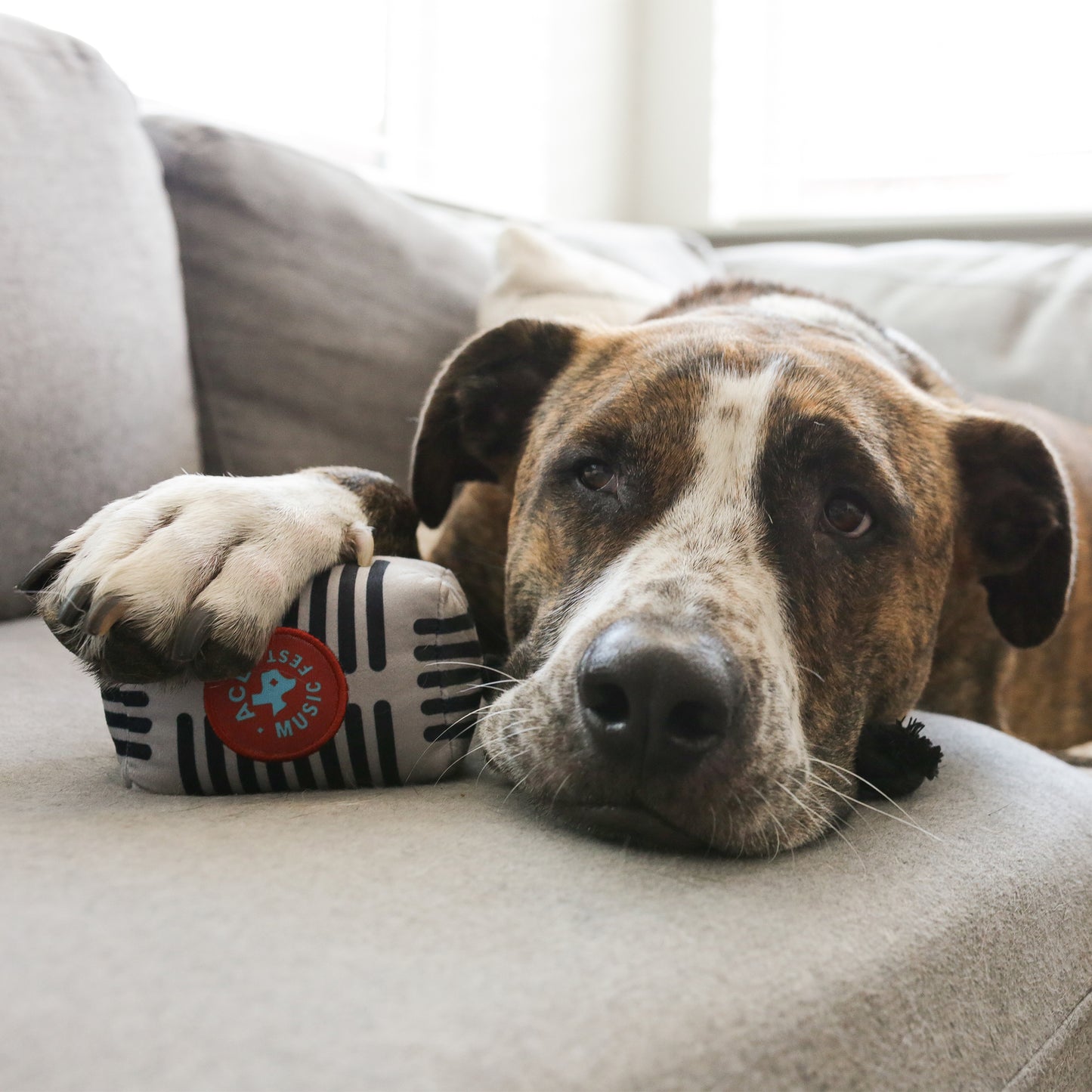 ACL Fest Plush Toy