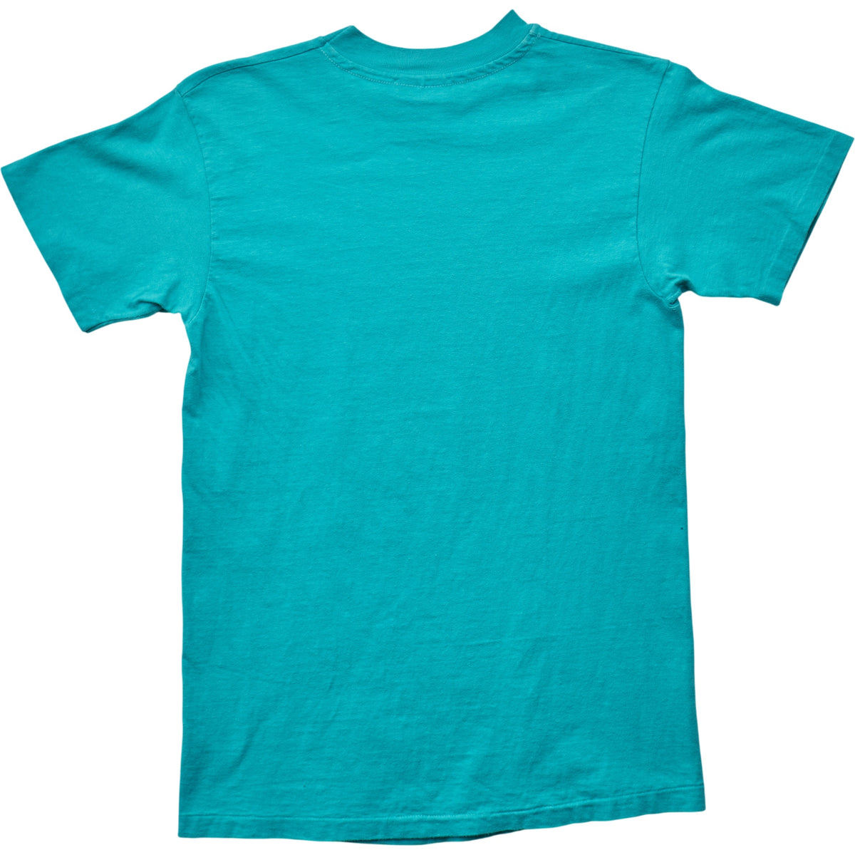 Springy x ACL Fest Teal Skyline Tee - S
